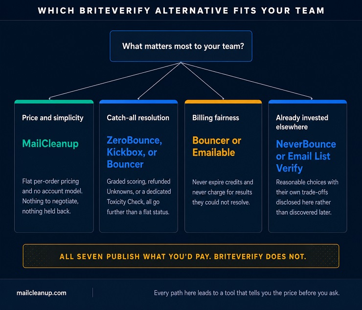 BriteVerify Alternatives - Which Tool Fits Your Team - Decision Diagram