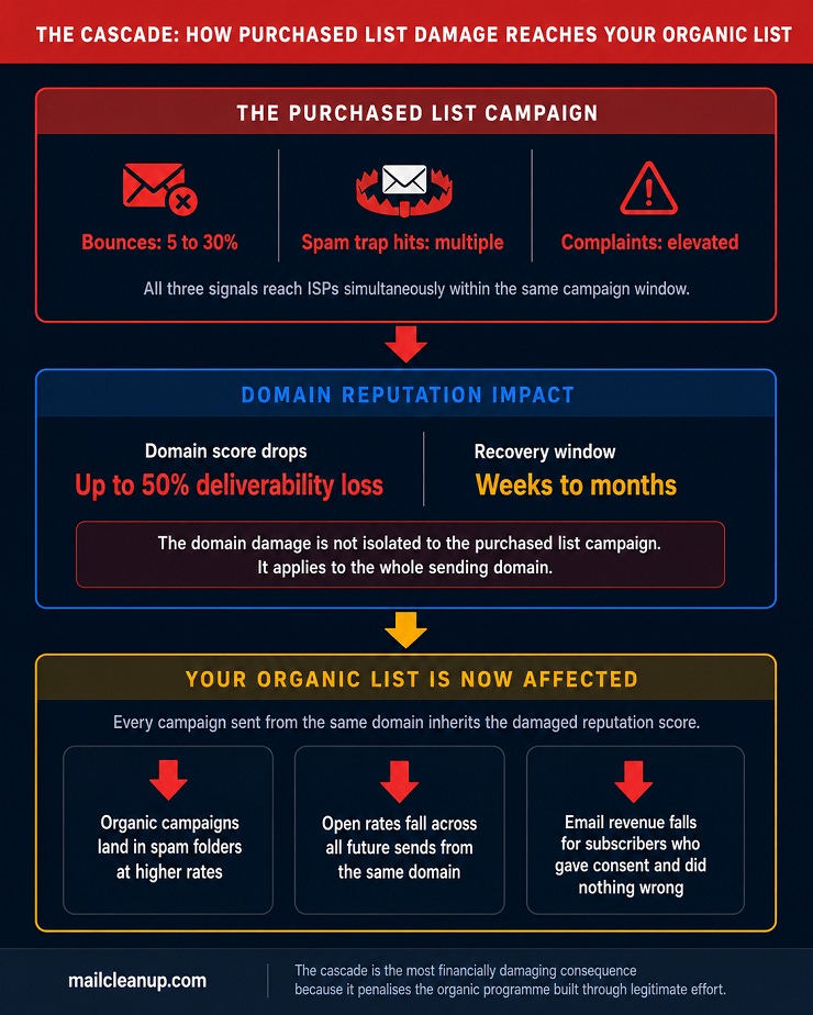 How A Purchased List Campaign Damages Organic Subscribers