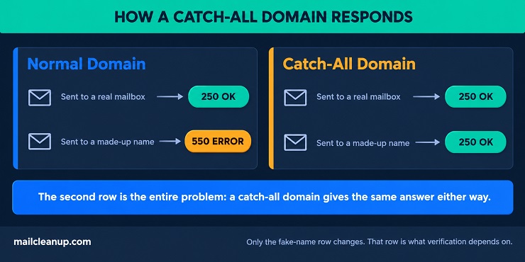 Diagram Comparing SMTP Responses On A Normal Domain Versus A Catch-All Domain